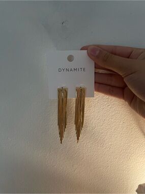 Dynamite FRINGE SNAKE CHAIN EARRINGS